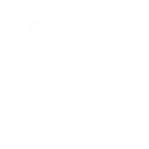E-commerce Website Design Service